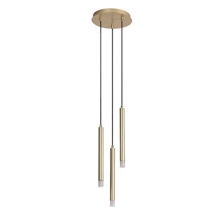 Rabalux - Chandelier on a string 3xG9/5W/230V gold