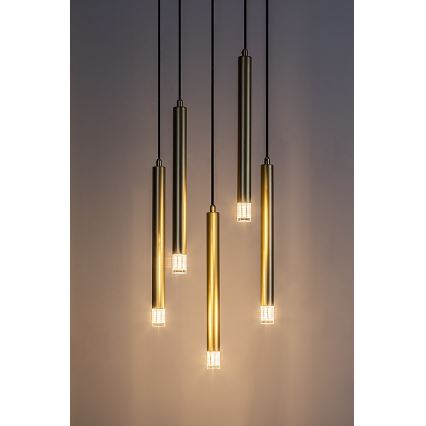 Rabalux - Chandelier on a string 5xG9/5W/230V gold