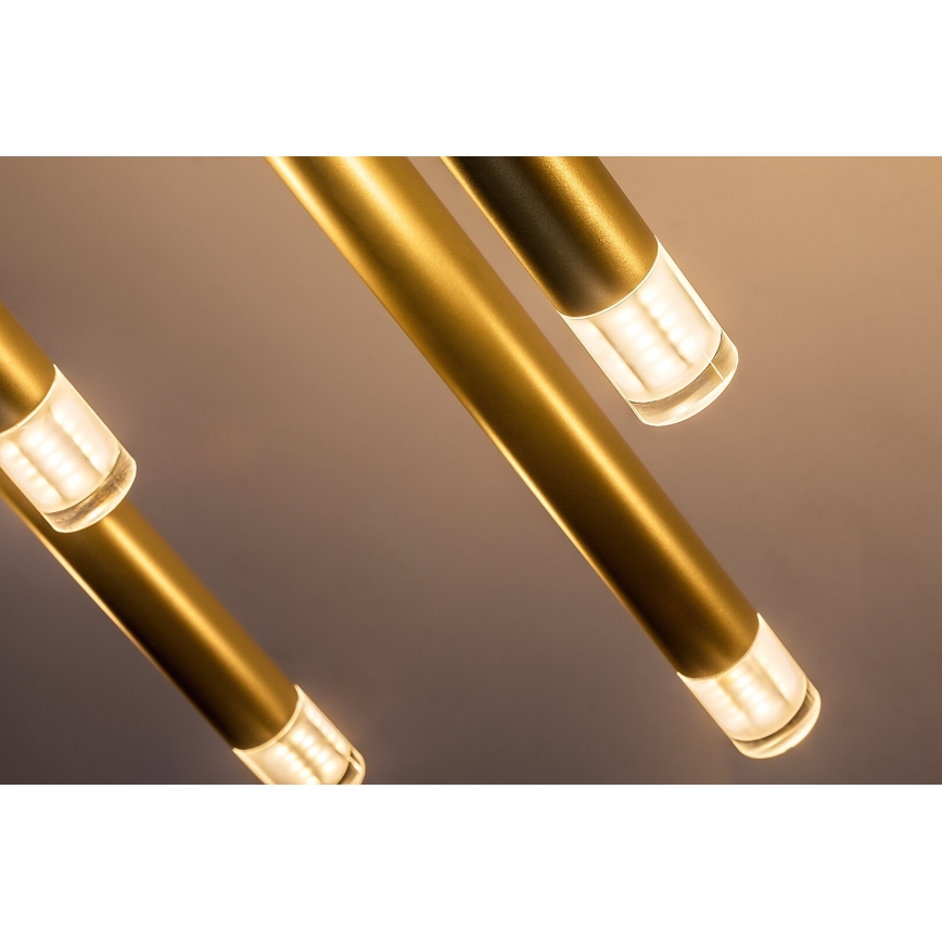 Rabalux - Chandelier on a string 10xG9/5W/230V gold