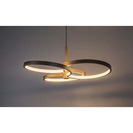 Rabalux - Dimmable LED pendant on cable LED/50W/230V 3000-6500K + remote control