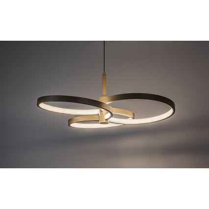 Rabalux - Dimmable LED pendant on cable LED/50W/230V 3000-6500K + remote control