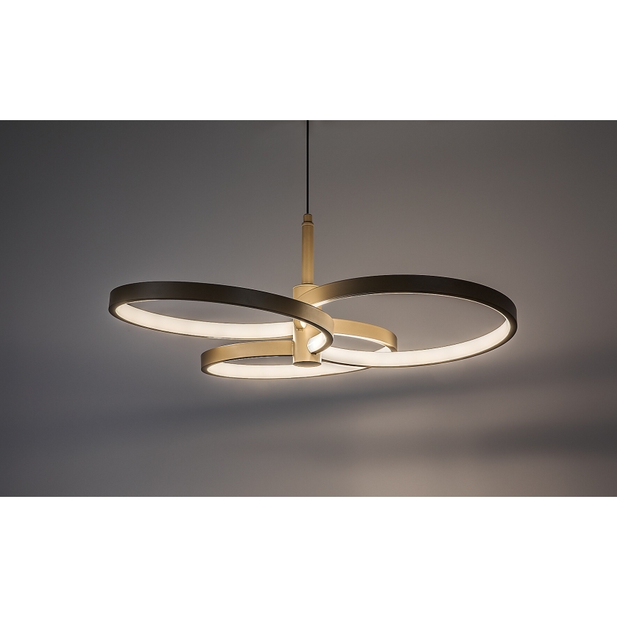 Rabalux - Dimmable LED pendant on cable LED/50W/230V 3000-6500K + remote control