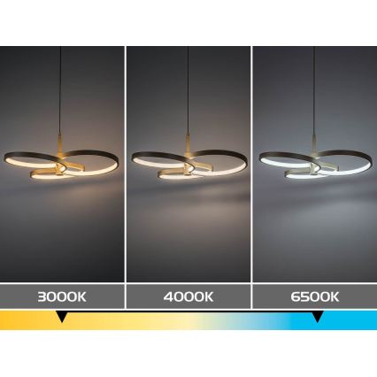 Rabalux - Dimmable LED pendant on cable LED/50W/230V 3000-6500K + remote control