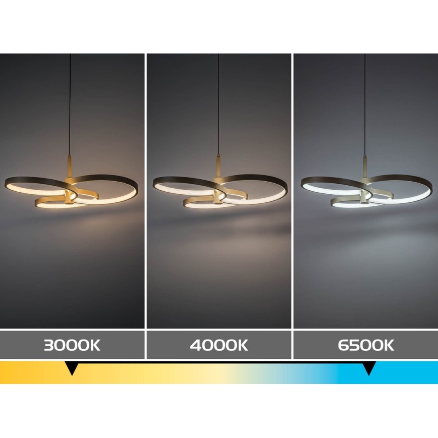 Rabalux - Dimmable LED pendant on cable LED/50W/230V 3000-6500K + remote control