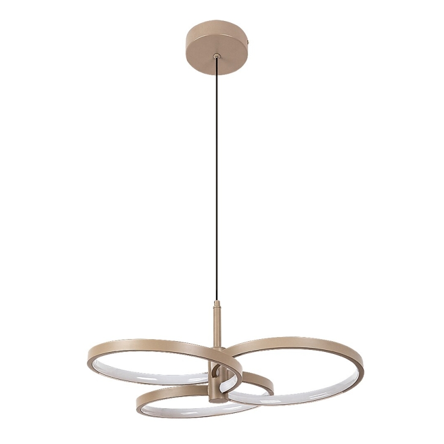 Rabalux - Dimmable LED pendant on cable LED/50W/230V 3000-6500K + remote control