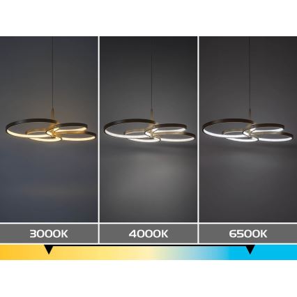 Rabalux - Dimmable LED cable pendant LED/70W/230V 3000-6500K + remote control