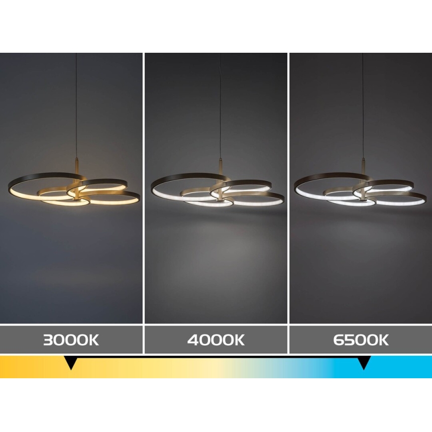 Rabalux - Dimmable LED cable pendant LED/70W/230V 3000-6500K + remote control