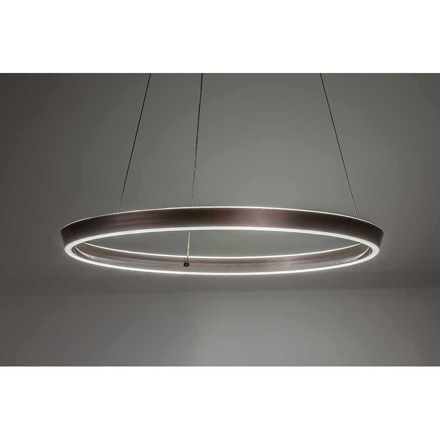 Rabalux - LED Dimmable Cable-Hung Pendant Light LED/70W/230V 3000-6500K + remote control