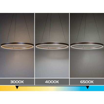 Rabalux - LED Dimmable Cable-Hung Pendant Light LED/70W/230V 3000-6500K + remote control