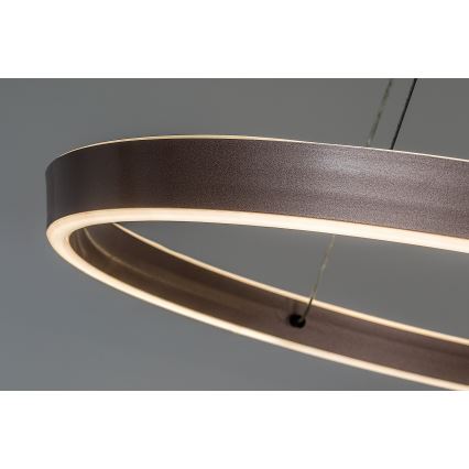 Rabalux - LED Dimmable Cable-Hung Pendant Light LED/70W/230V 3000-6500K + remote control