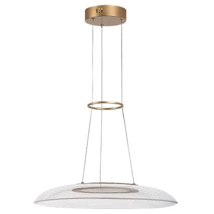 Rabalux - LED Cable Pendant LED/24W/230V 3000K