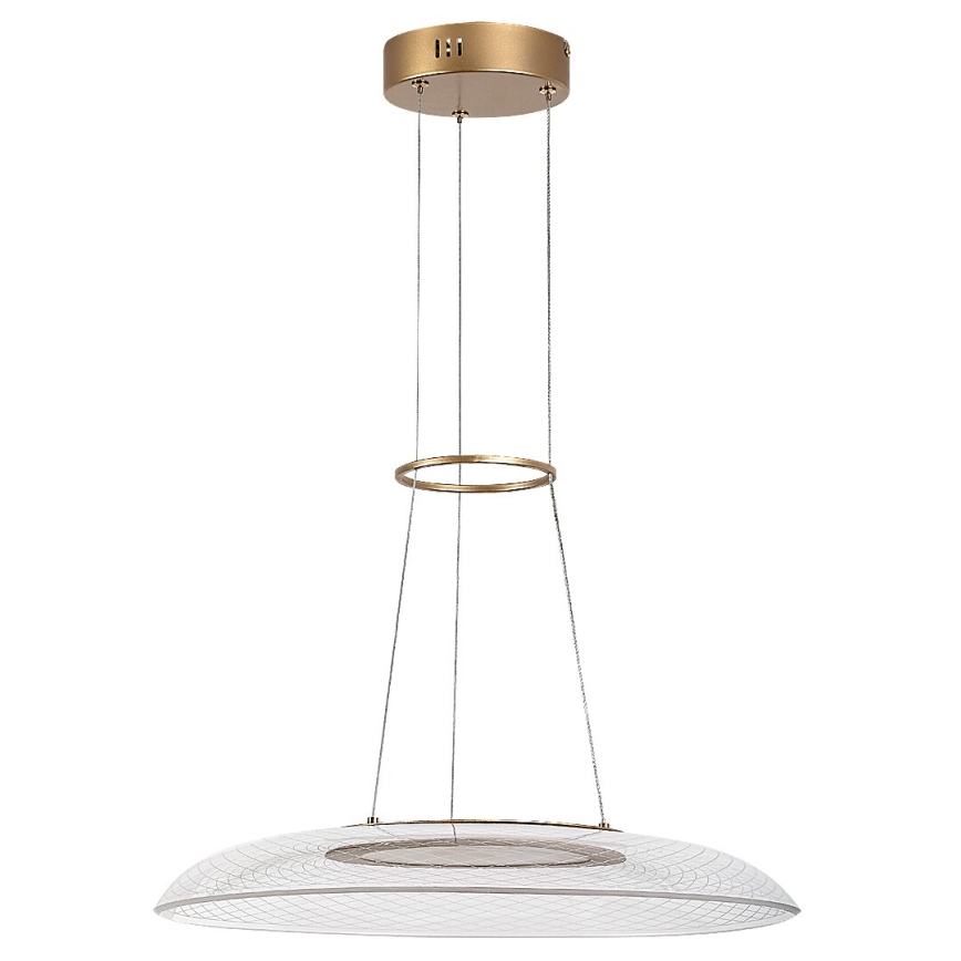 Rabalux - LED Cable Pendant LED/24W/230V 3000K