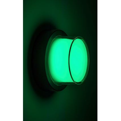 Rabalux - LED RGBW Dimmable outdoor wall light LED/10W/230V IP54 Wi-Fi Tuya