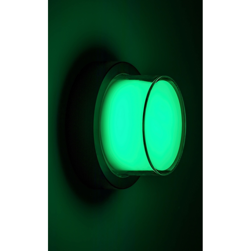 Rabalux - LED RGBW Dimmable outdoor wall light LED/10W/230V IP54 Wi-Fi Tuya