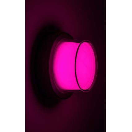 Rabalux - LED RGBW Dimmable outdoor wall light LED/10W/230V IP54 Wi-Fi Tuya