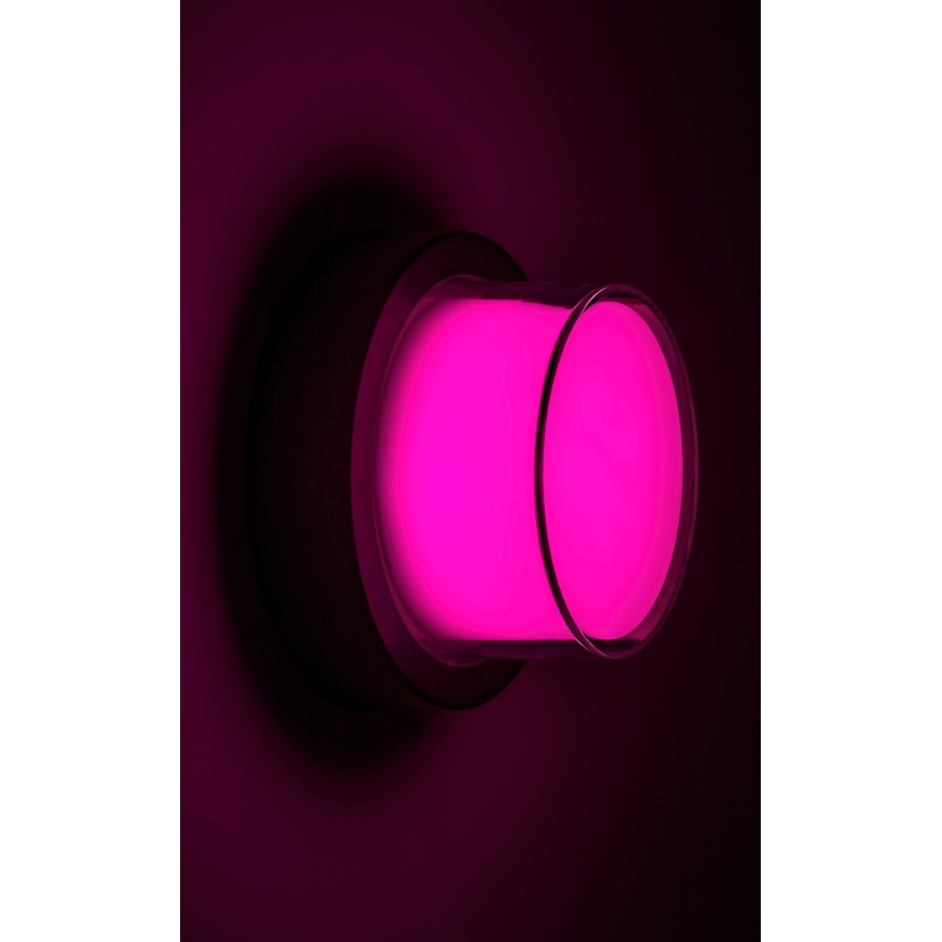 Rabalux - LED RGBW Dimmable outdoor wall light LED/10W/230V IP54 Wi-Fi Tuya
