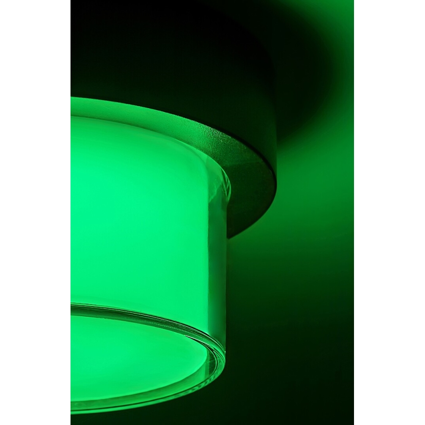 Rabalux - LED RGBW Dimmable outdoor wall light LED/10W/230V IP54 Wi-Fi Tuya