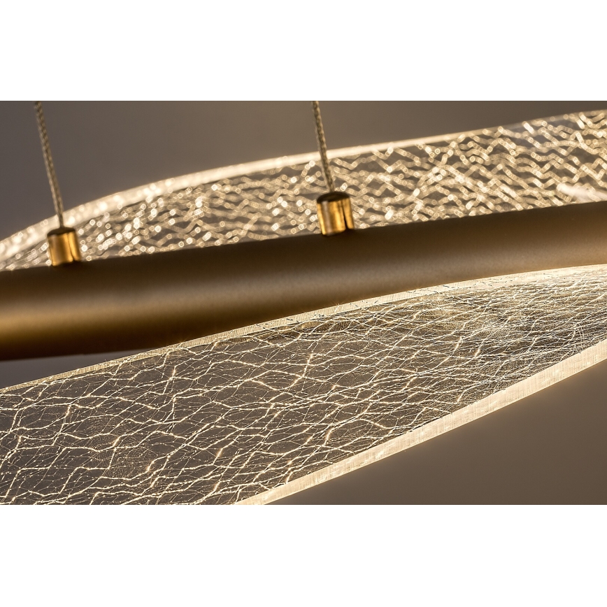 Rabalux - LED Cable Pendant LED/24W/230V 3000K