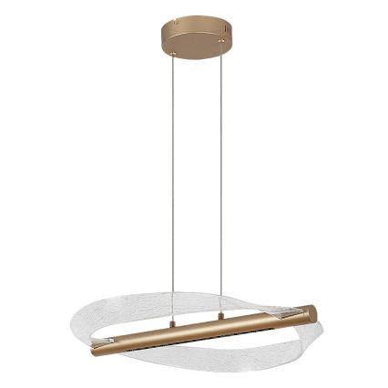 Rabalux - LED Cable Pendant LED/24W/230V 3000K