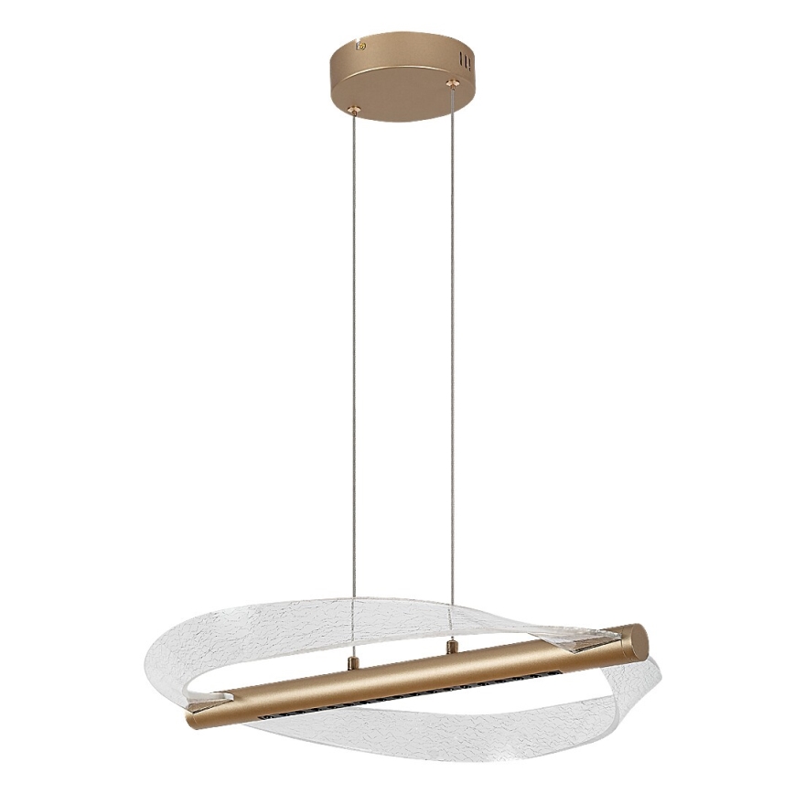 Rabalux - LED Cable Pendant LED/24W/230V 3000K