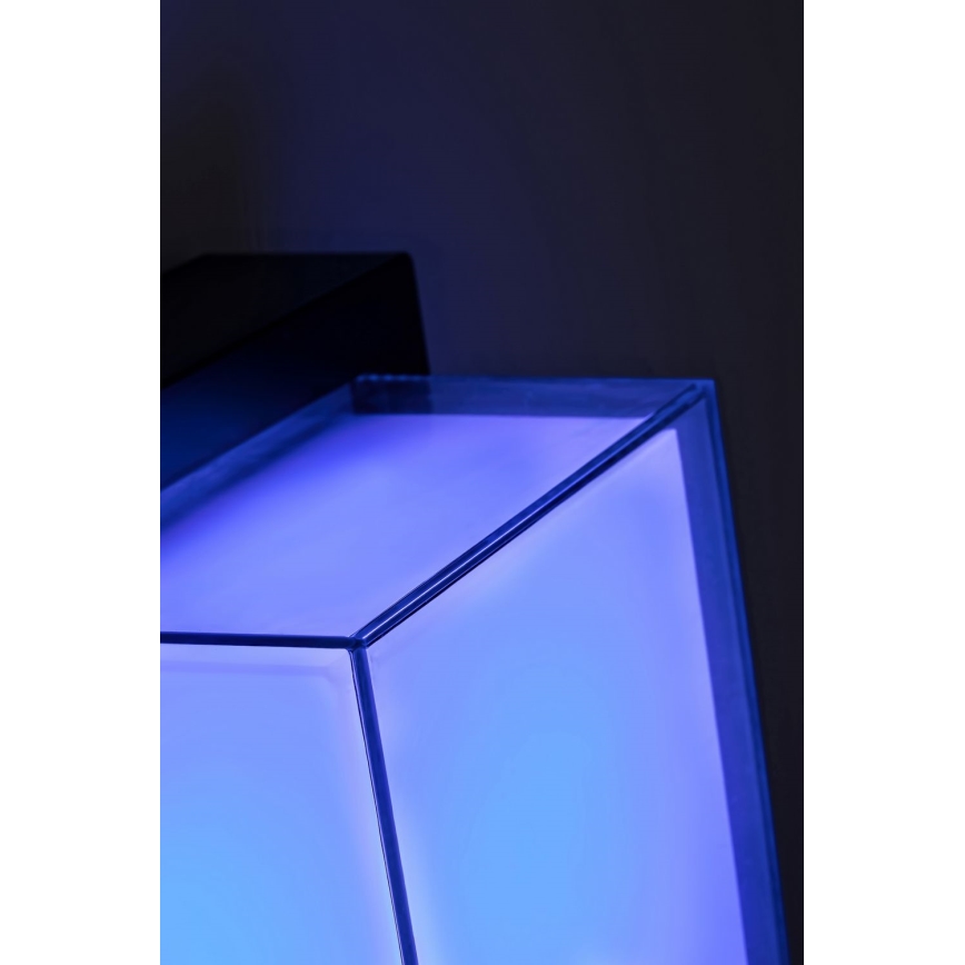 Rabalux - LED RGBW Dimmable outdoor wall light LED/10W/230V IP54 Wi-Fi Tuya