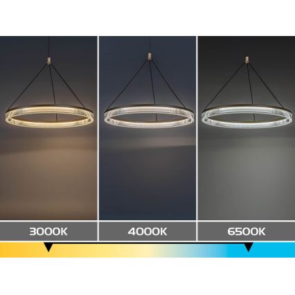 Rabalux - LED Dimmable Cable-Suspended Pendant Light LED/24W/230V 3000-6500K + Remote Control