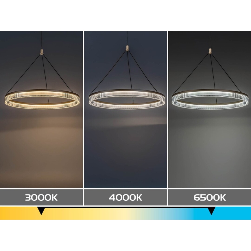 Rabalux - LED Dimmable Cable-Suspended Pendant Light LED/24W/230V 3000-6500K + Remote Control