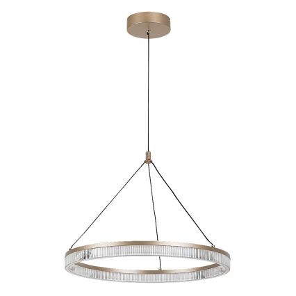 Rabalux - LED Dimmable Cable-Suspended Pendant Light LED/24W/230V 3000-6500K + Remote Control