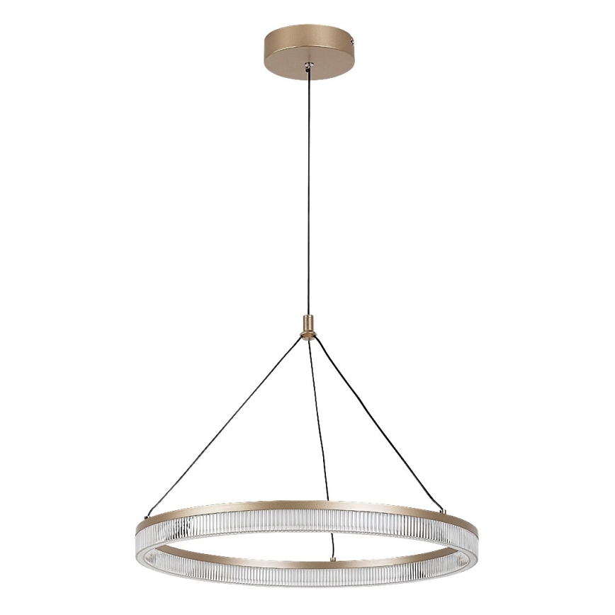 Rabalux - LED Dimmable Cable-Suspended Pendant Light LED/24W/230V 3000-6500K + Remote Control