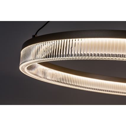 Rabalux - LED Dimmable Cable-Suspended Pendant Light LED/24W/230V 3000-6500K + Remote Control