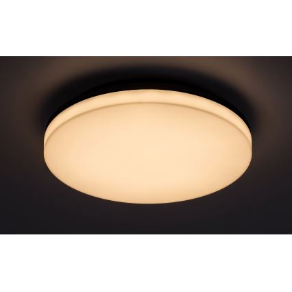 Rabalux - LED Bathroom ceiling light LED/24W/230V IP54