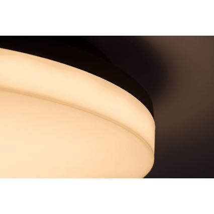 Rabalux - LED Bathroom ceiling light LED/24W/230V IP54