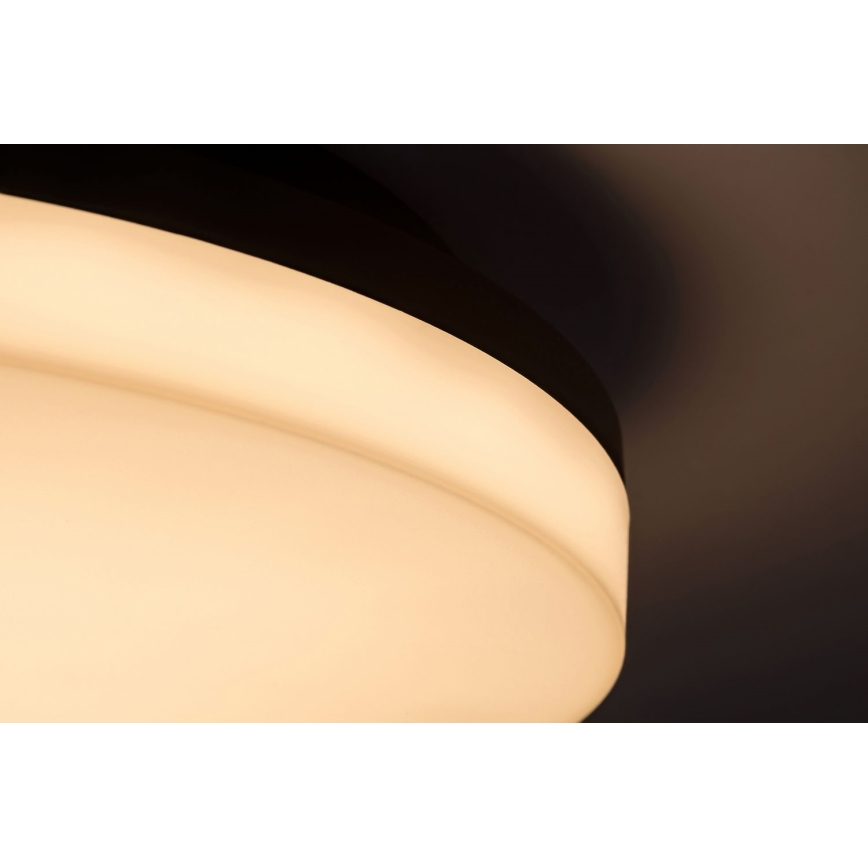 Rabalux - LED Bathroom ceiling light LED/24W/230V IP54