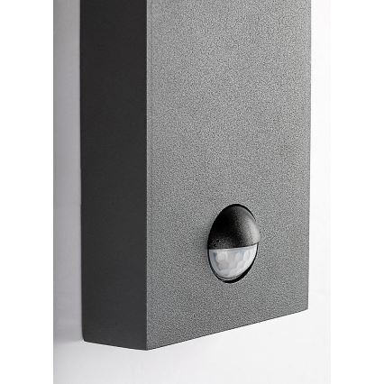 Rabalux - Outdoor wall lamp with a sensor 1xE27/40W/230V IP44