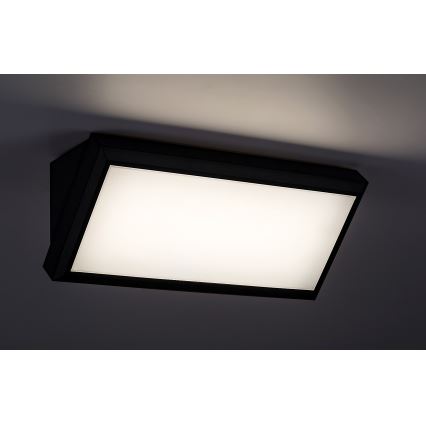 Rabalux - LED Outdoor wall light LED/12W/230V IP54