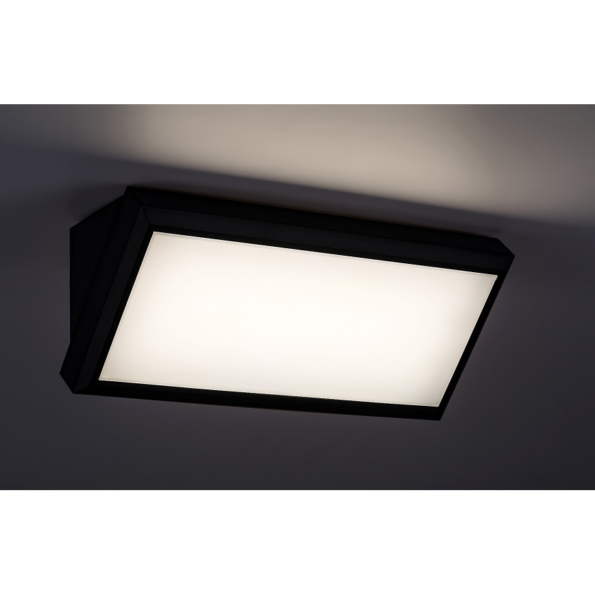 Rabalux - LED Outdoor wall light LED/12W/230V IP54