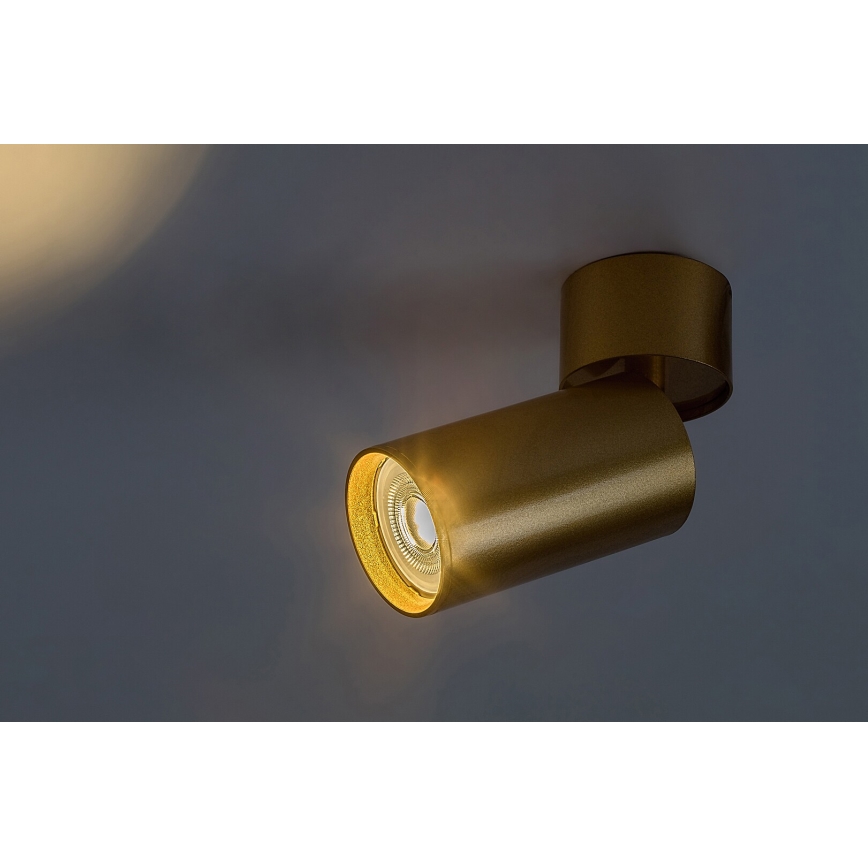 Rabalux - Spotlight 1xGU10/5W/230V gold