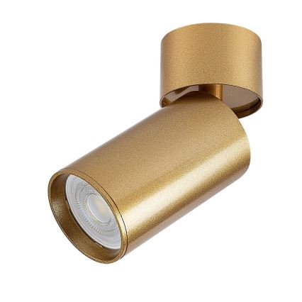 Rabalux - Spotlight 1xGU10/5W/230V gold