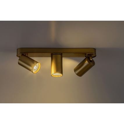 Rabalux - Spotlight 3xGU10/5W/230V gold