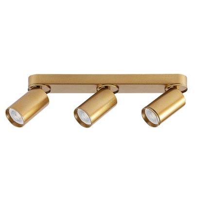 Rabalux - Spotlight 3xGU10/5W/230V gold
