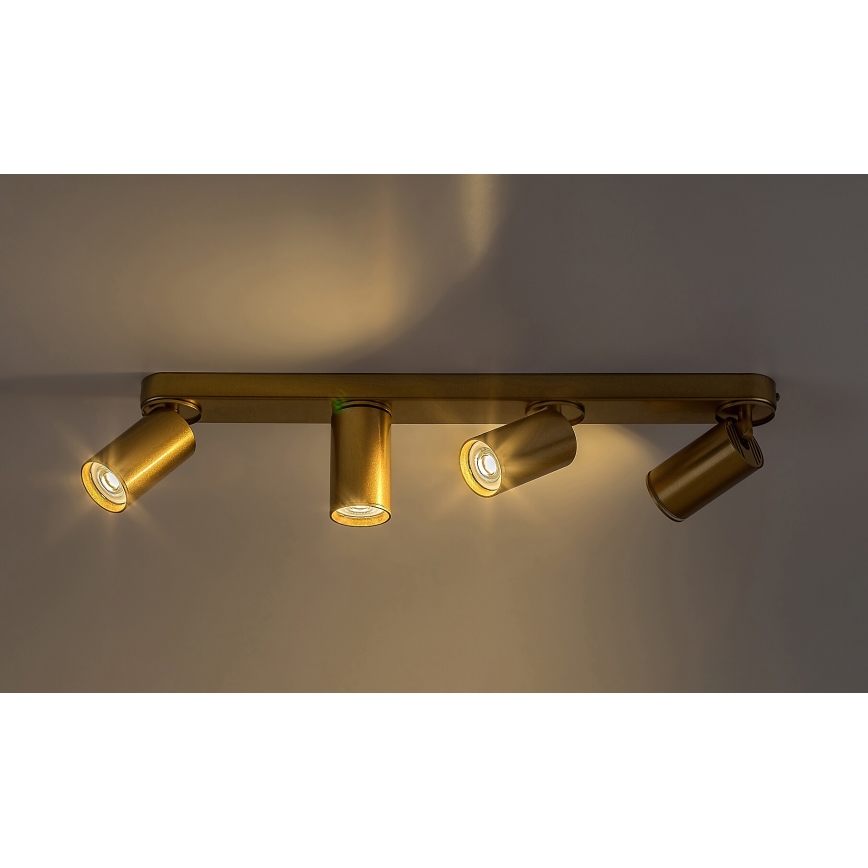 Rabalux - Spotlight 4xGU10/5W/230V gold