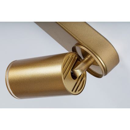 Rabalux - Spotlight 4xGU10/5W/230V gold