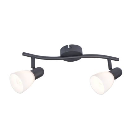 Rabalux - Spotlight 2xE14/40W/230V