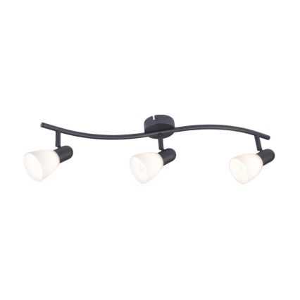 Rabalux - Spotlight 3xE14/40W/230V