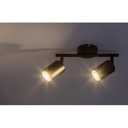 Rabalux - 2xGU10/15W/230V Spotlight, Black