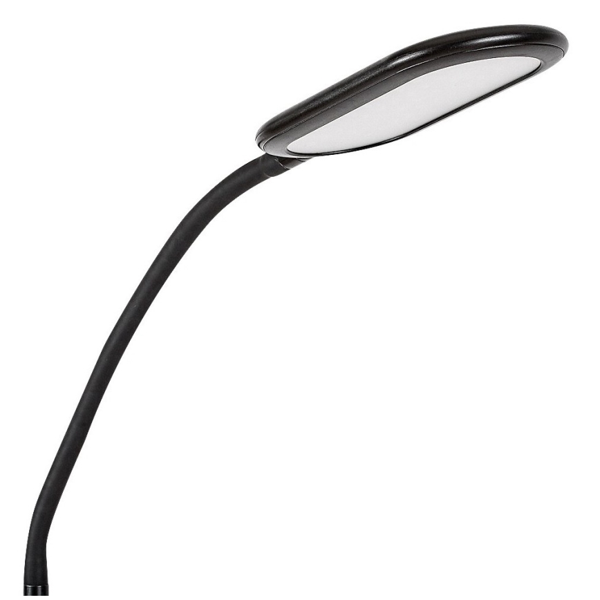 Rabalux - LED Dimmable touch floor lamp LED/10W/230V 3000-6000K black