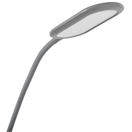 Rabalux - LED Dimmable touch floor lamp LED/10W/230V 3000-6000K grey