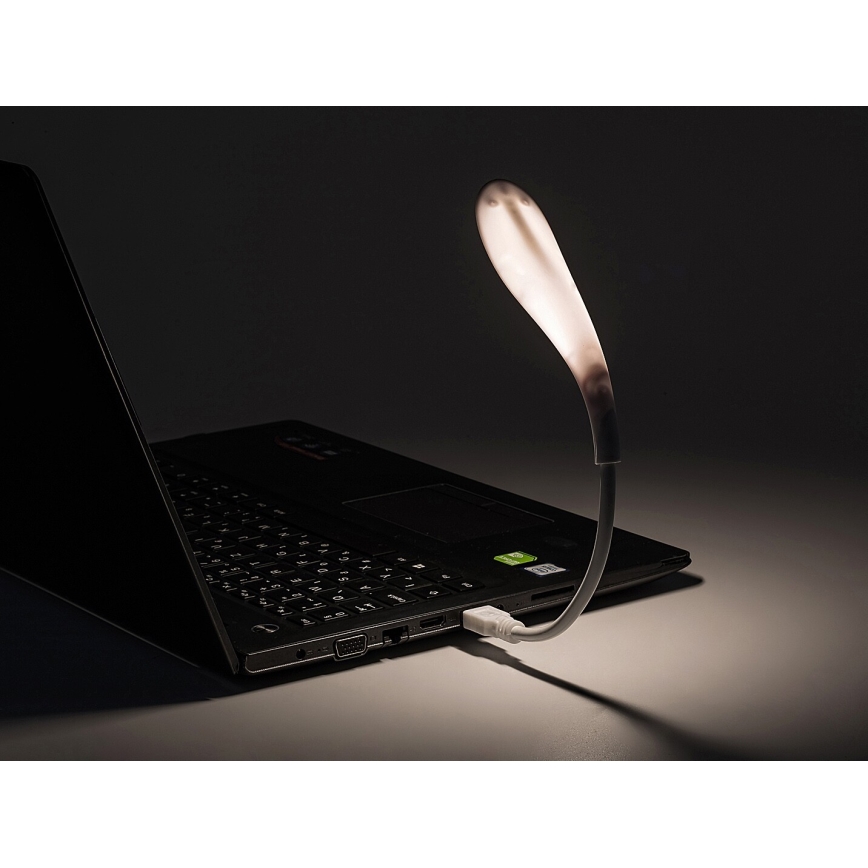 Rabalux - LED Flexible USB small lamp LED/2W/5V