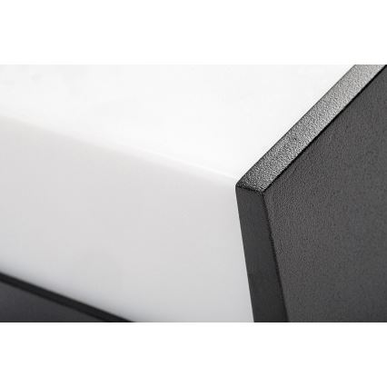 Rabalux - LED Outdoor wall light LED/12W/230V black IP54