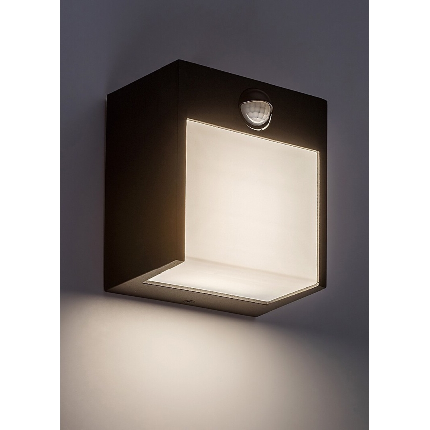 Rabalux - LED Outdoor wall light with a sensor LED/12W/230V black IP44
